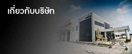 Company profile